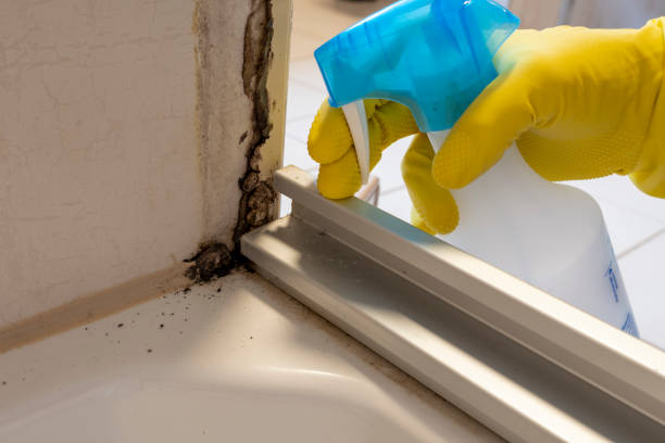 Best Local Mold Removal Service  in Lincoln Rk, PA