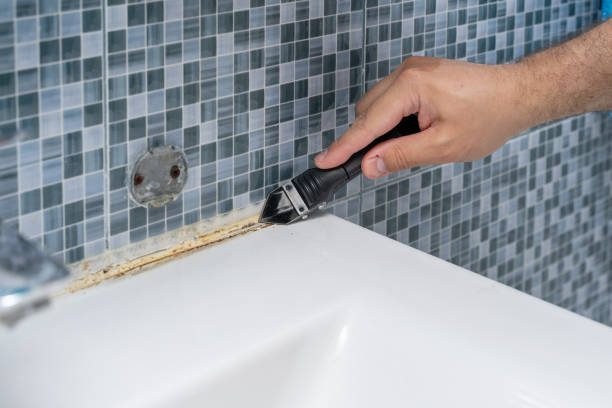Best Mold Damage Repair  in Lincoln Rk, PA