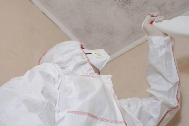 Best Commercial Mold Removal  in Lincoln Rk, PA
