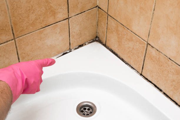 Best Certified Mold Removal  in Lincoln Rk, PA